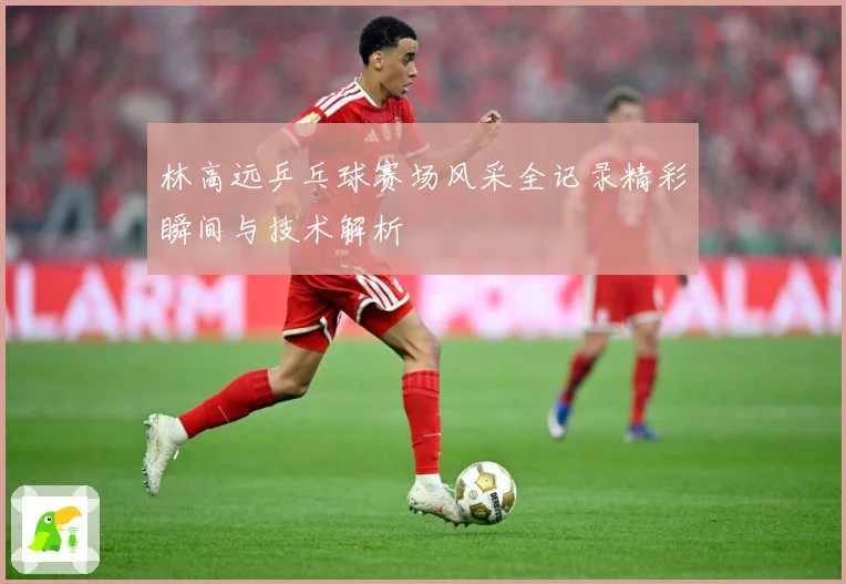 林高远乒乓球赛场风采全记录精彩瞬间与技术解析