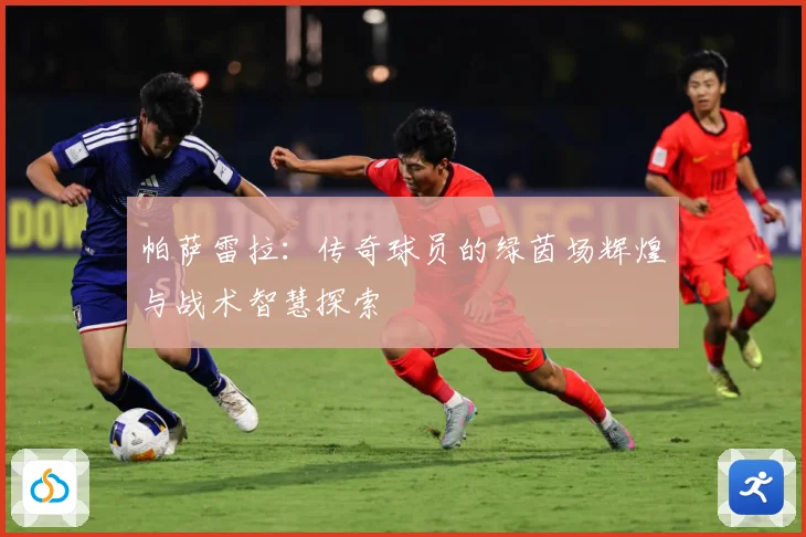 帕萨雷拉：传奇球员的绿茵场辉煌与战术智慧探索